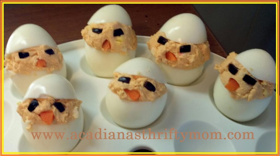 baby chicks