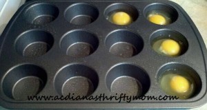 frozen eggs1