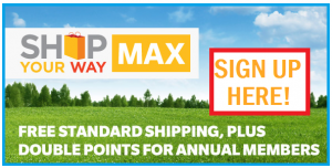 shop your way max