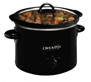 crock pot mini