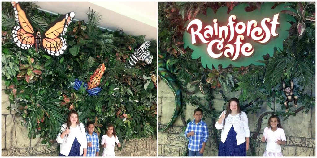 rainforest Collage