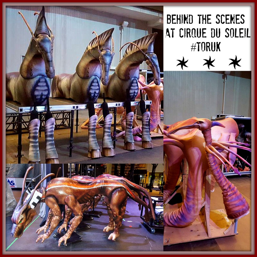 Behind The Scenes At Cirque Du Soleil #Toruk