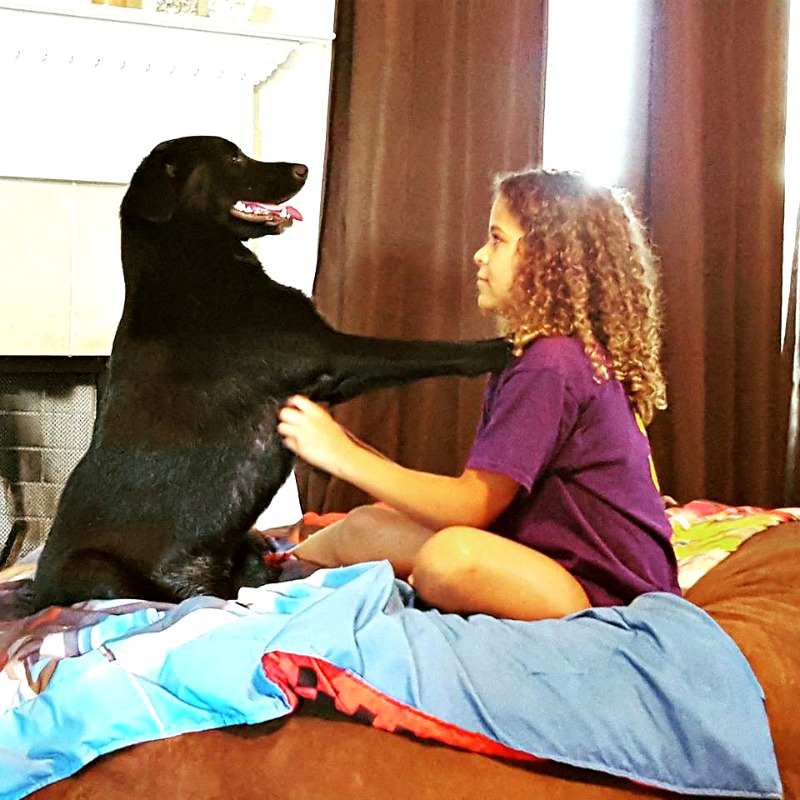 Pamper Your Pets For Less With Groupon Pamper Your Pets For Less With Groupon