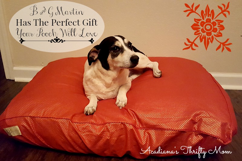 B & G Martin Has The Perfect Gift Your Pooch Will Love B & G Martin Has The Perfect Gift Your Pooch Will Love