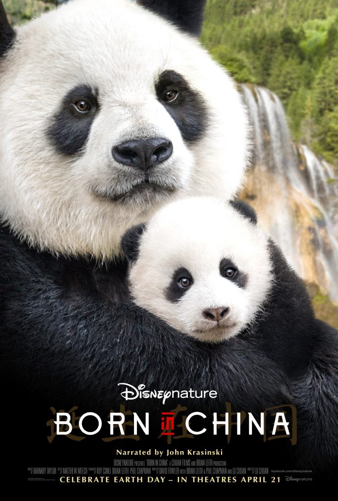 Disneynature Welcomes John Krasinski into the family as the narrator of Born In China #BornInChina Disneynature Welcomes John Krasinski into the family as the narrator of Born In China #BornInChina