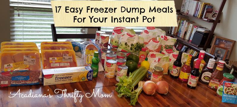 17 Easy Freezer Dump Meals For Your Instant Pot