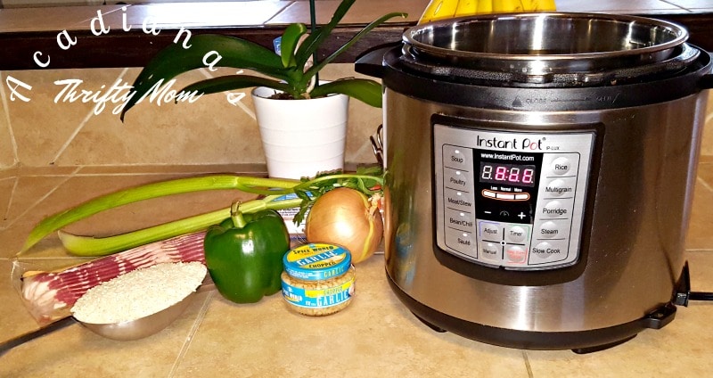 Easy Instant Pot Dirty Rice Ready In Under 30 Minutes Easy Instant Pot Dirty Rice Ready In Under 30 Minutes