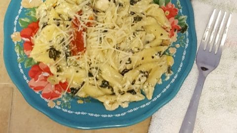 Easy Cheesy Creamy Greek Instant Pot Penne Pasta