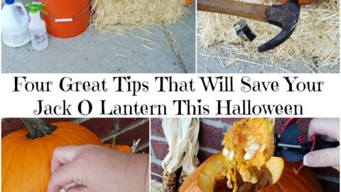 Four Great Tips That Will Save Your Jack O Lantern This Halloween