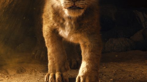 The 2019 Walt Disney Studios Motion Pictures Slate Is Out And It Is Amazing