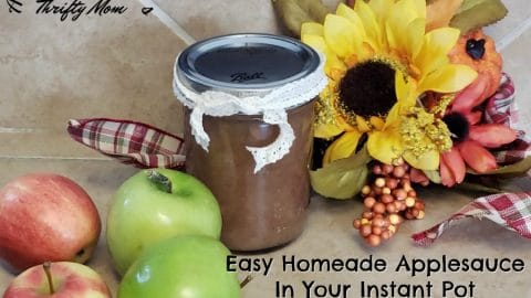 Easy 10 Minute Homemade Applesauce In Your Instant Pot