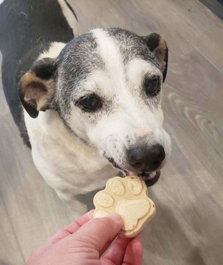 3 Ingredient Frozen Dog Treats