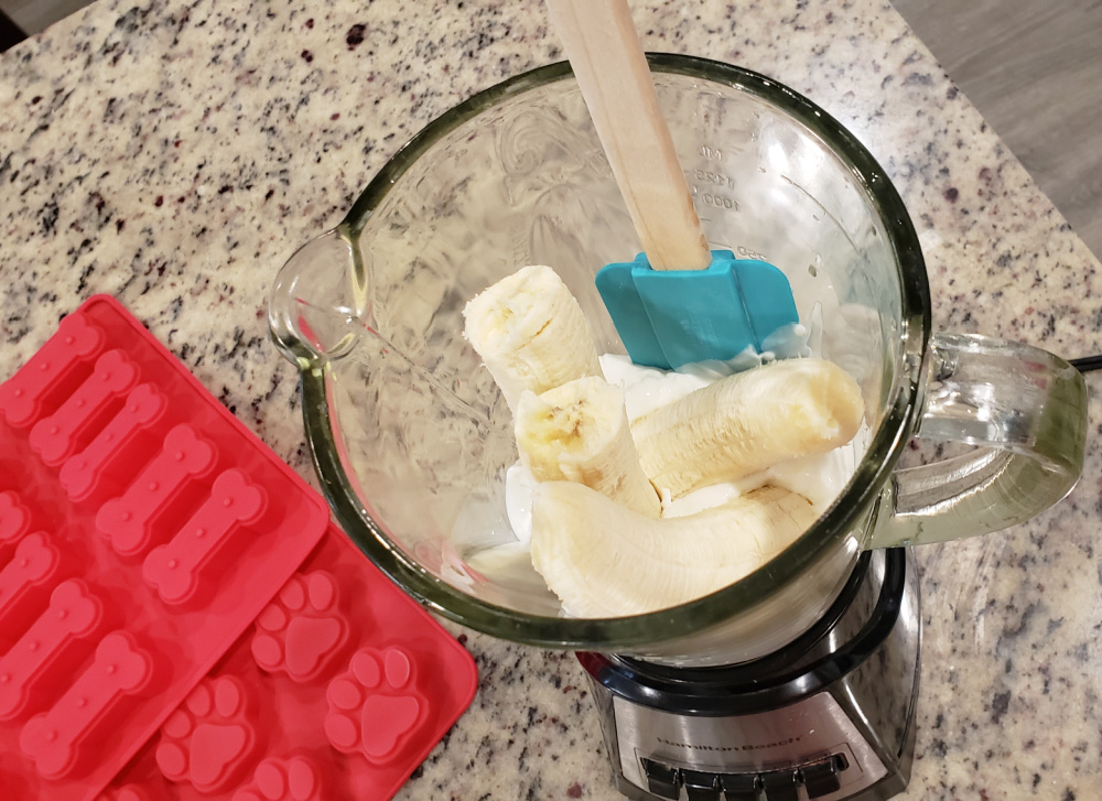 3 Ingredient Frozen Dog Treats